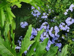 -中国天府农业博览园