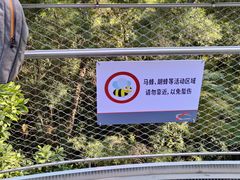 -狐尾山公园