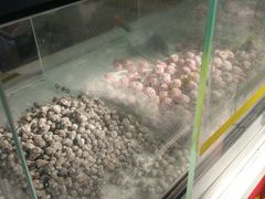 -黑孩油栗皇(南阳路店)