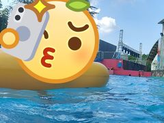 -阿酋湾水上乐园