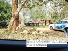 -海南热带野生动植物园