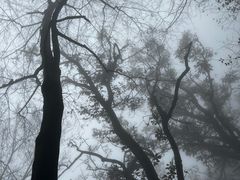 -终南山南五台景区