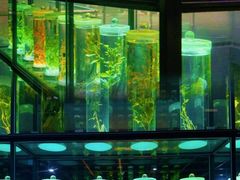 -广东中医药博物馆