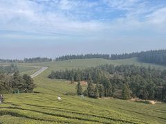 -东钱湖旅游度假区