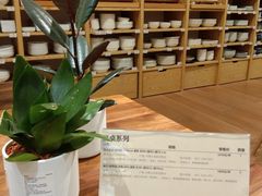 -MUJI无印良品(环球港店)