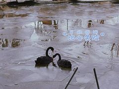 -郑州市动物园