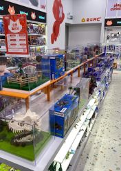 -kidsland(颐堤港店)