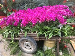 -郑州植物园