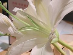 -四季餐厅(华苑店)
