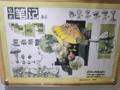 -上海昆虫博物馆