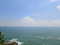 -小麦岛公园