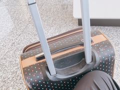 -石家庄正定国际机场-T2航站楼