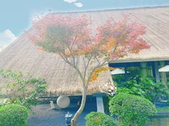 -老房子金沙元年川菜食府·花园餐厅(金沙店)