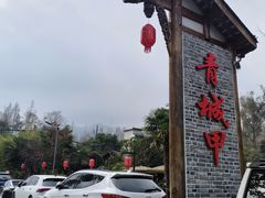 -青城甲(青城山店)