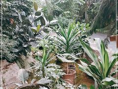 -滕头生态酒店(奉化店)