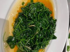 酒香草头-红城阁·上海味道(四平路店)