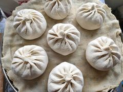 -昆山城市生态森林公园