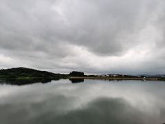 -大塘金香草谷