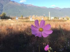 -大理无舍度假酒店