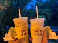 -猫的魔法密林(衣裳街店)