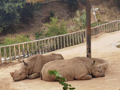 -泉州海丝野生动物世界