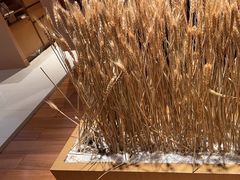 -西村日本料理(香格里拉饭店)