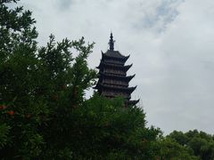 -常熟方塔园