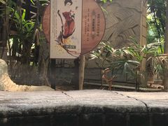 -龙达温泉生态城