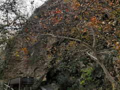 -南京金牛湖风景区