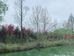-白塔湖国家湿地公园