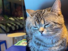 -神盾局科技密室(永川万达广场店)