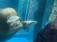 -波塞冬海底世界