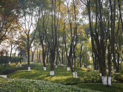 -重庆市江北嘴中央商务区中央公园