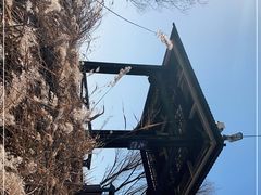 -野鸭湖国家湿地公园