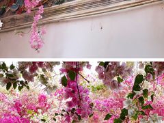 -深圳国际园林花卉博览园