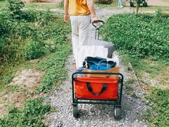 -前小桔亲子创意农场·草莓采摘·露营烧烤