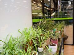 -813芭依珊 BAESAn(皇冠十畝地店)