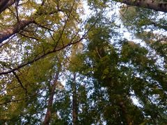 android_upload_pic-八大关景区