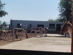 -青藏高原野生动物园
