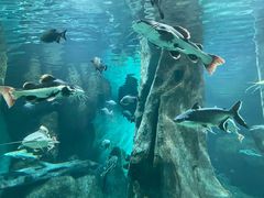 -福州罗源湾海洋世界旅游区