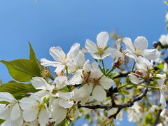 -白塘生态植物园