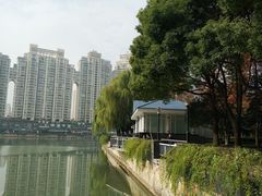 -西北湖绿化广场