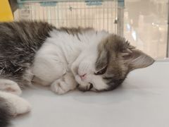 -银泰百货(北京大红门店)