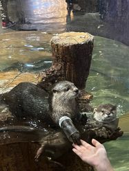 -Zoolung Zoolung动物主题公园(海信广场店)