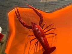 -霸王虾·麻辣小龙虾(玉林店)