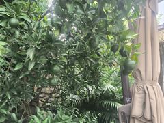 -茅庐·川粤精品私房菜(金沙遗址店)