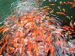 -兰溪地下长河