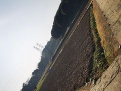 -八卦田遗址公园