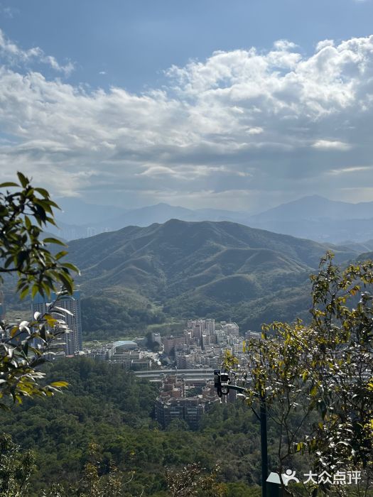 梧桐山风景名胜区图片