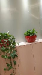 -本真坊美容美体沙龙